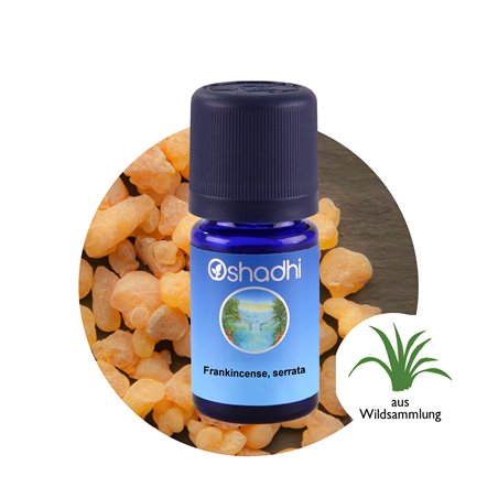 Frankincense, serrata
