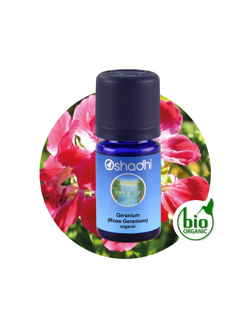 Rose Geranium organic