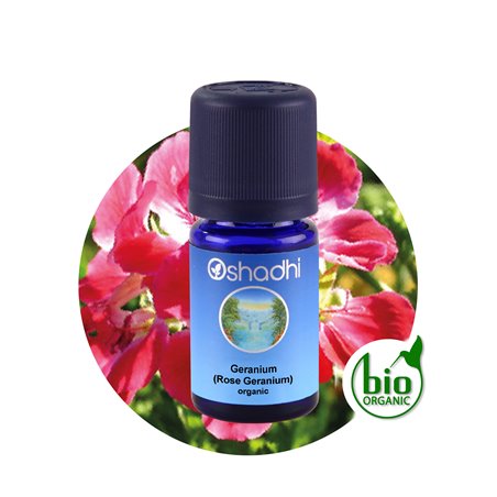 Rose Geranium organic