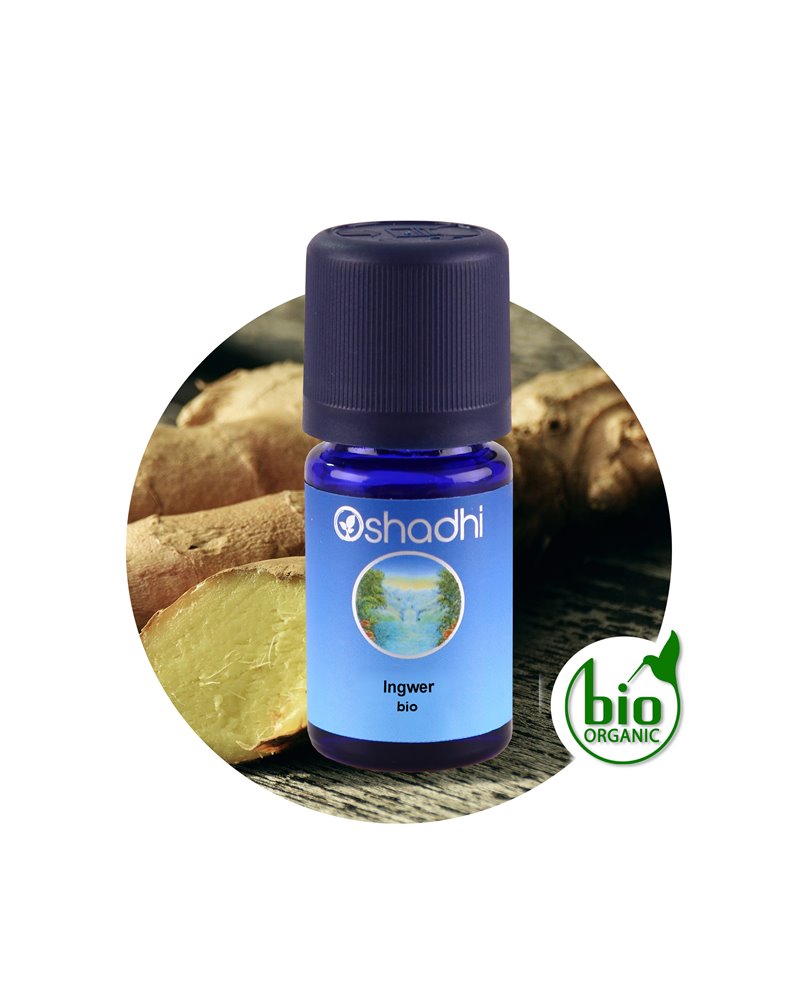 Ginger organic