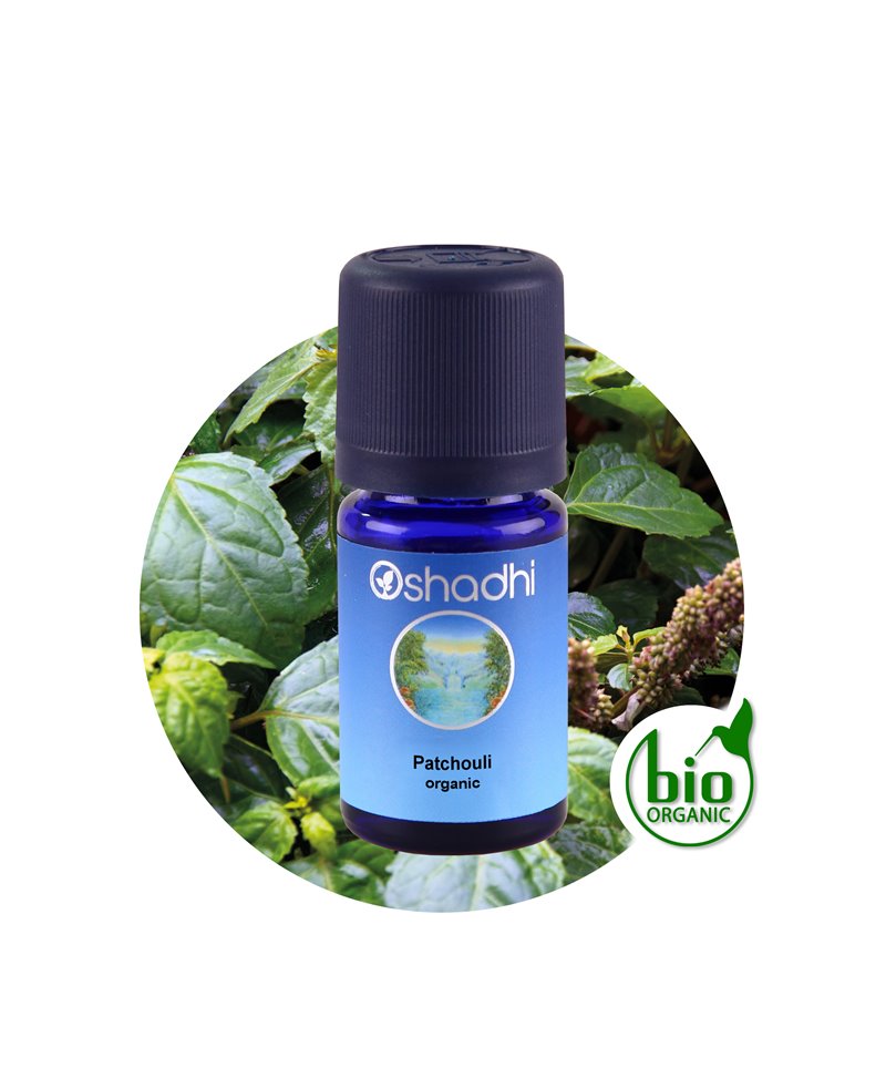 Patchouli organic