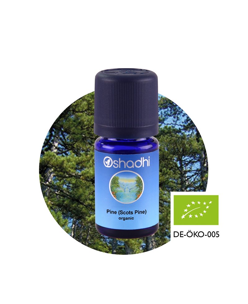 Scots Pine organic