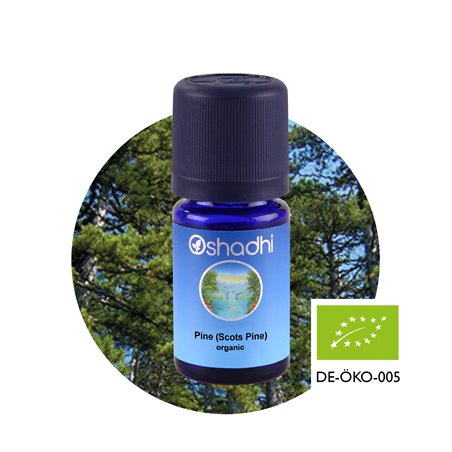 Scots Pine organic