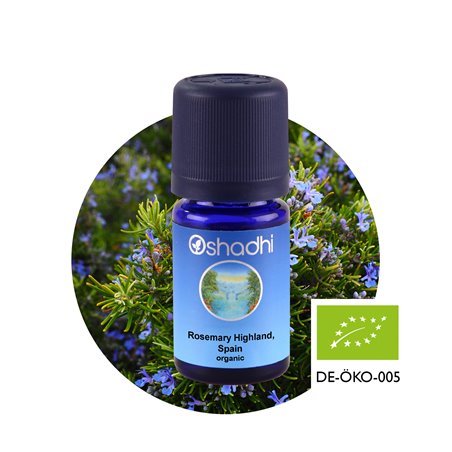 Rosemary Highland,Spain organic