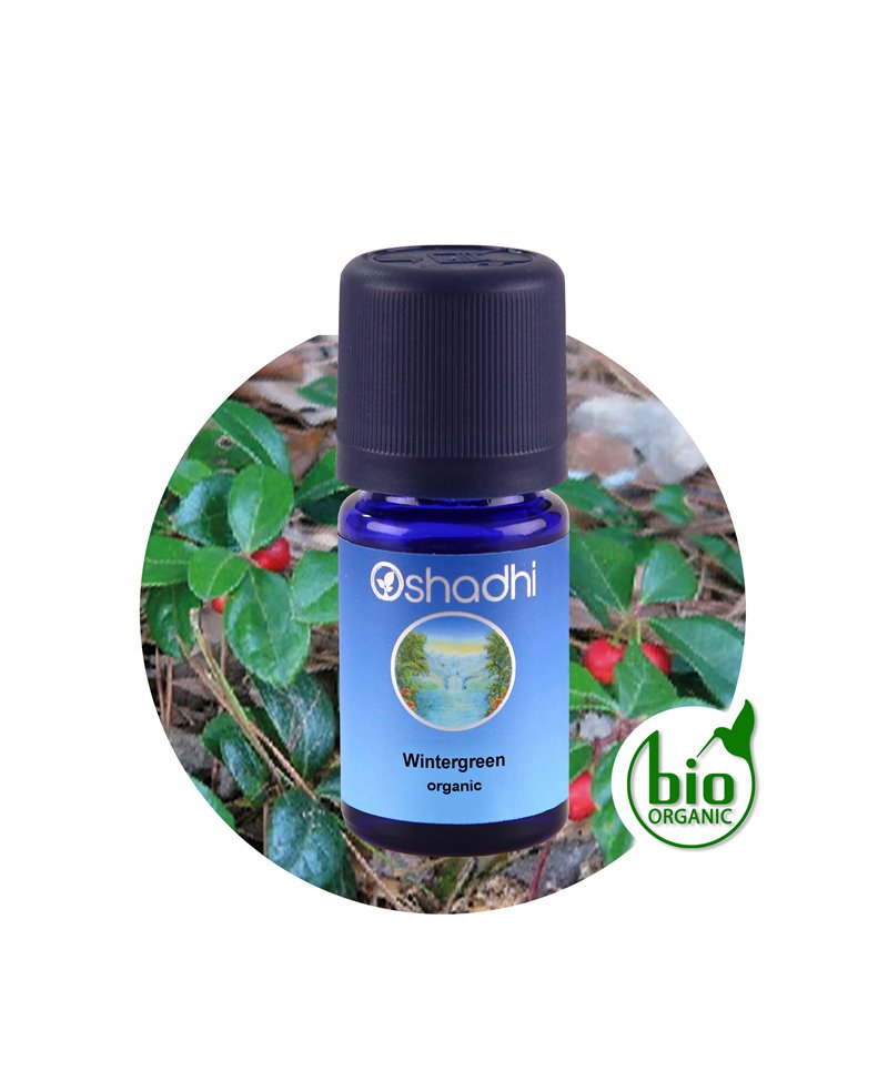 Wintergreen organic