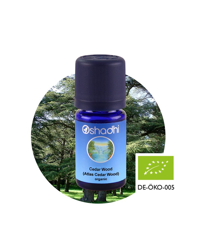 Cedar Wood (Atlas Cedar)