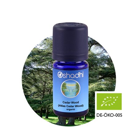 Cedar Wood (Atlas Cedar)