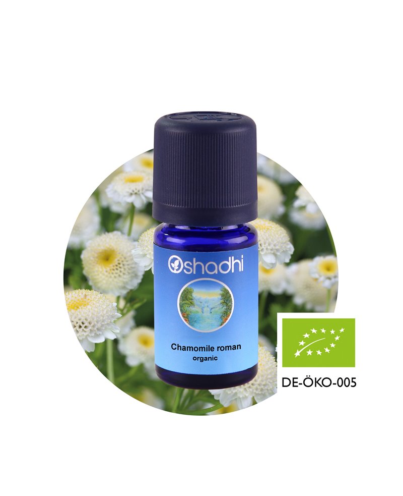 Chamomile roman organic