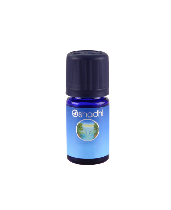 Vassoura essential oil
