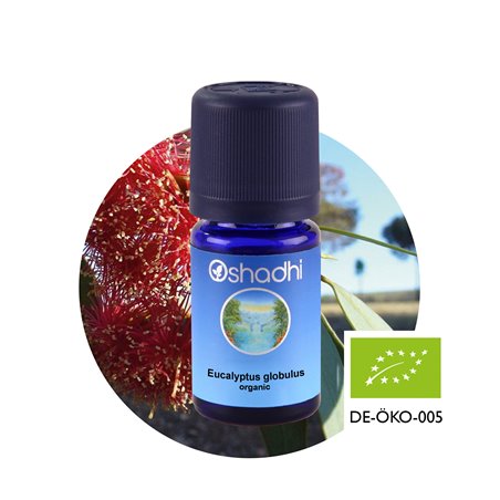 Eucalyptus globulus organic